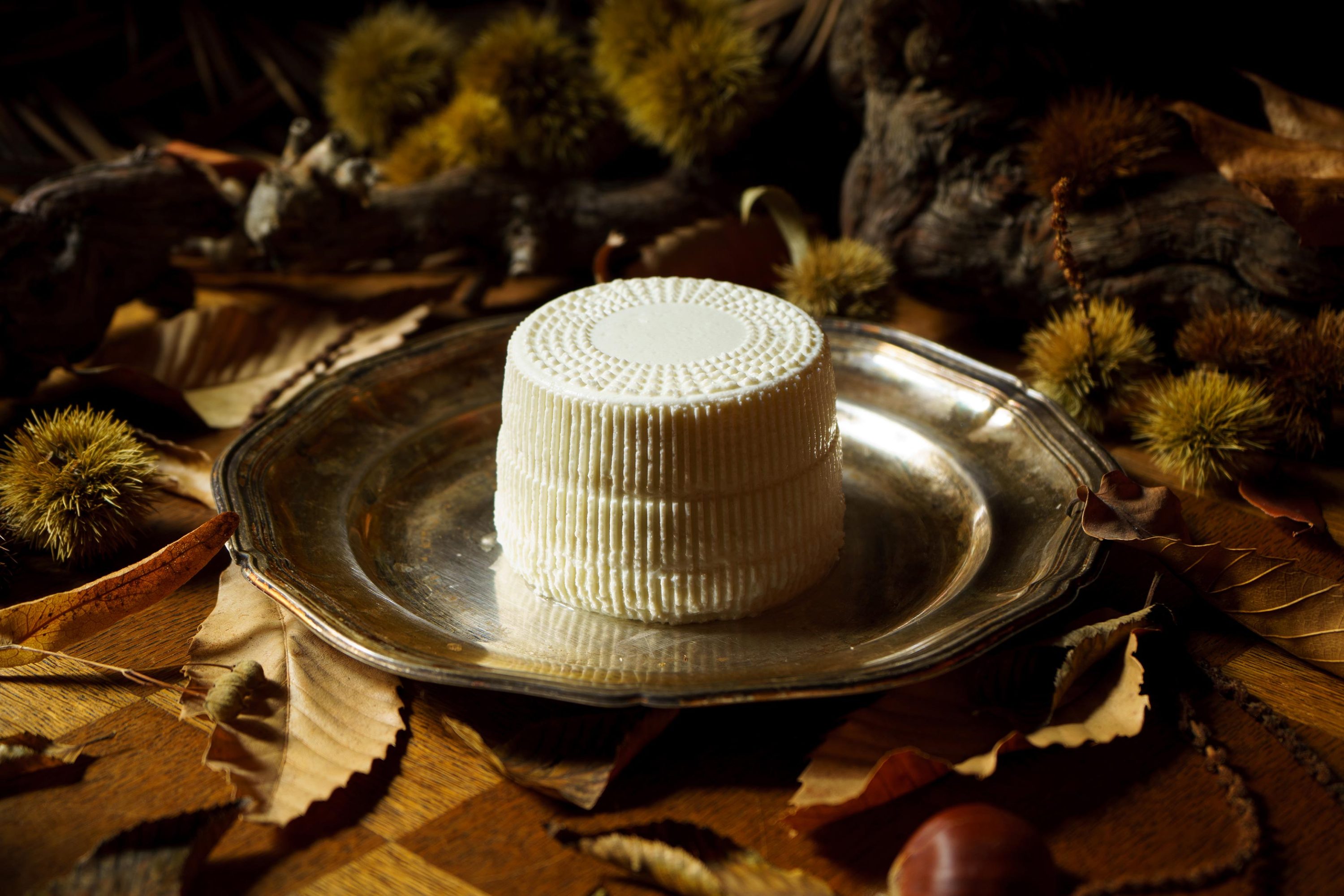 Falculelle © Renards Gourmets